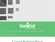 Tablet Screenshot of gavigat.com